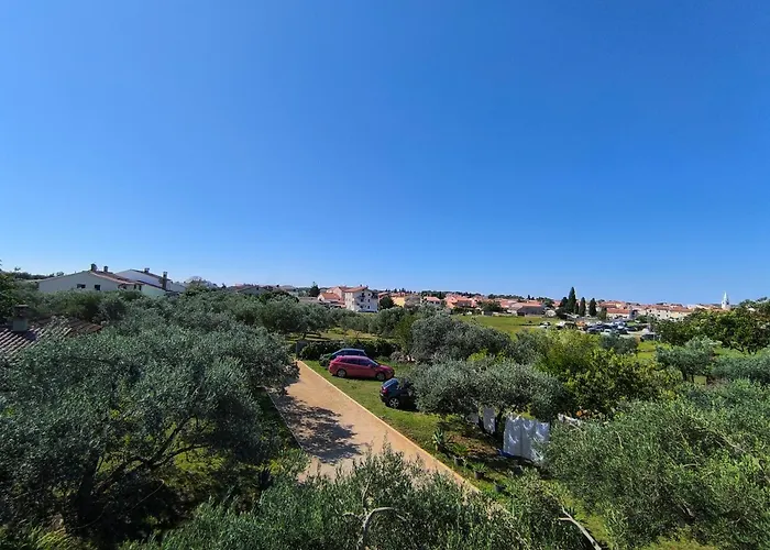 아파트 Kiki's 파자나